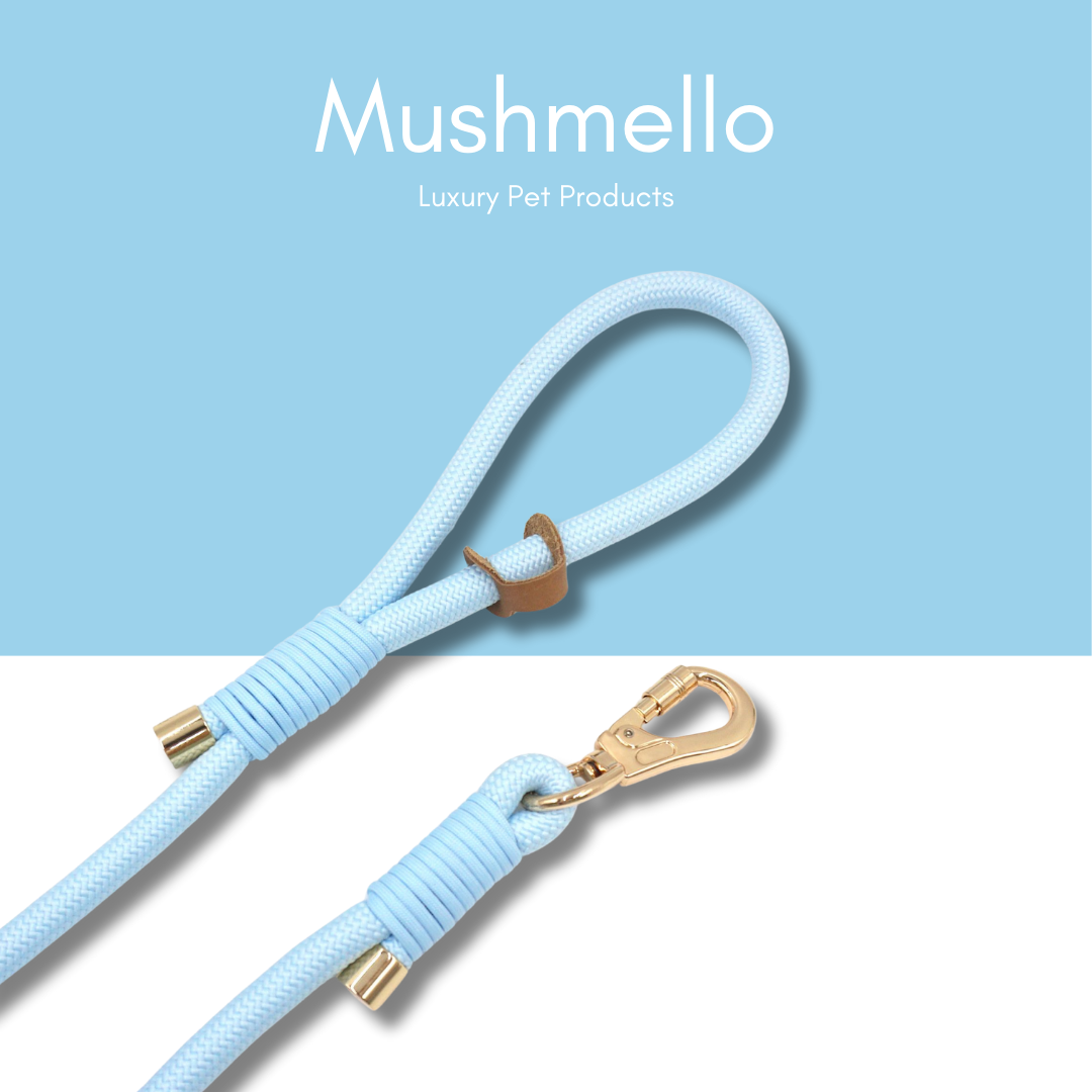 Luxury Rope Leash and Velvet Collar Set - Light Blue