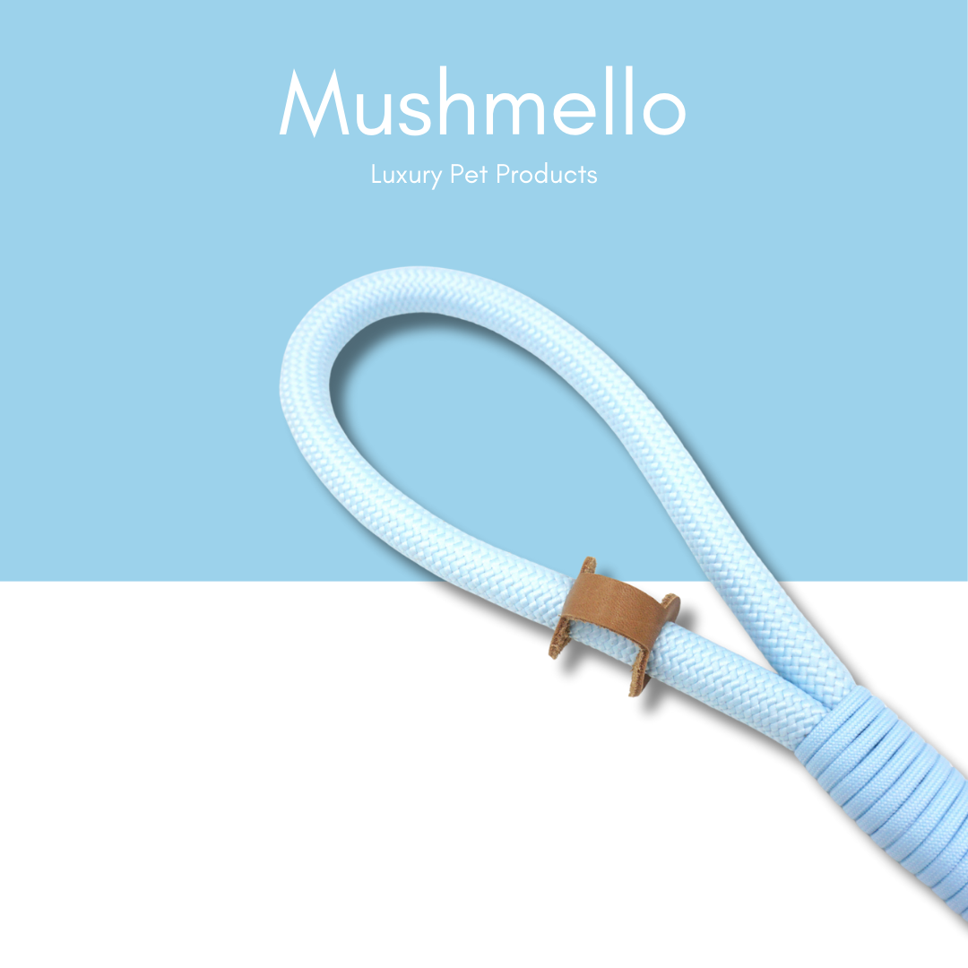 Luxury Rope Leash and Velvet Collar Set - Light Blue