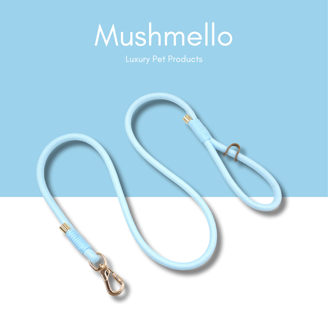 Luxury Rope Leash and Velvet Collar Set - Light Blue