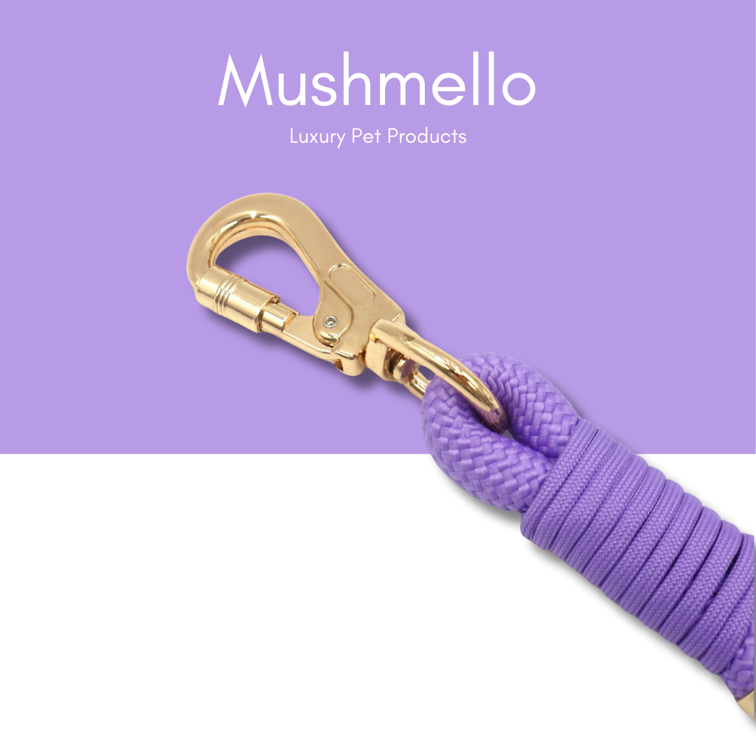 Luxury Rope Leash and Velvet Collar Set - Purple