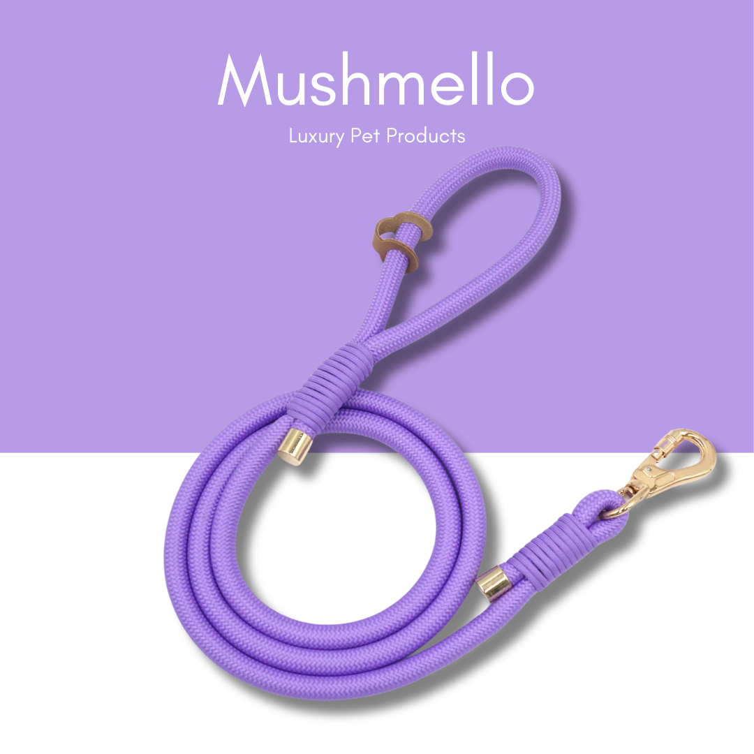 Luxury Rope Leash and Velvet Collar Set - Purple