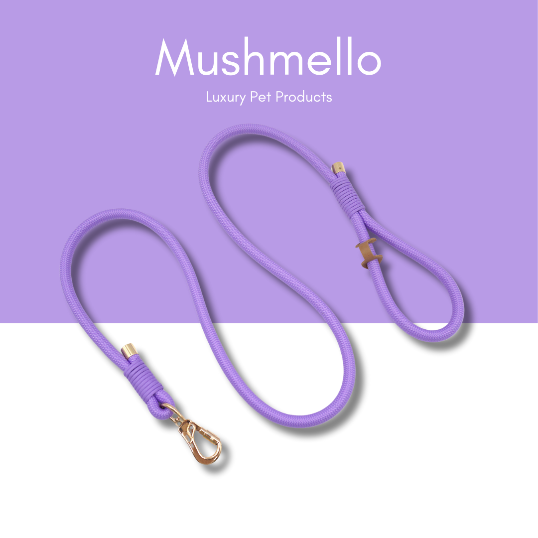 Luxury Rope Leash and Velvet Collar Set - Purple
