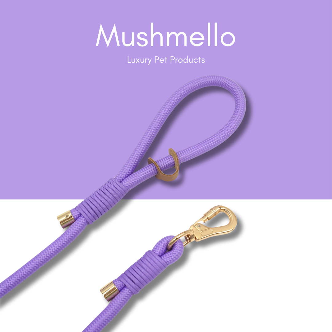 Luxury Rope Leash and Velvet Collar Set - Purple