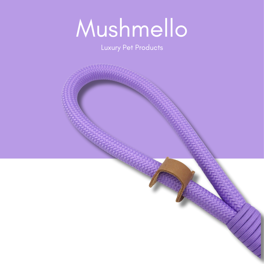Luxury Rope Leash and Velvet Collar Set - Purple