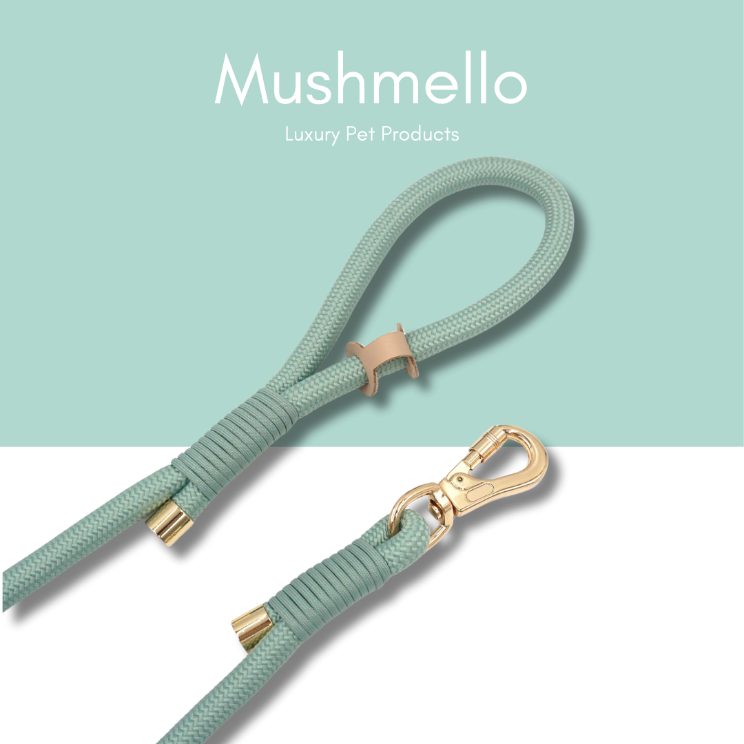 Luxury Rope Leash and Velvet Collar Set - Sage Green