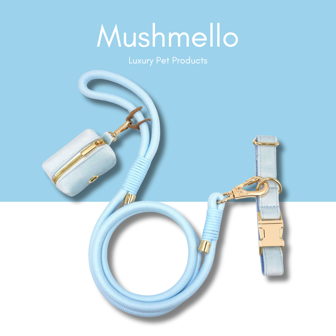 Luxury Rope Leash and Velvet Collar Set - Light Blue
