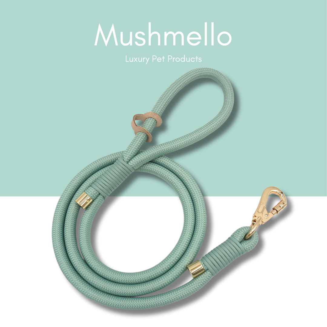 Luxury Rope Leash and Velvet Collar Set - Sage Green