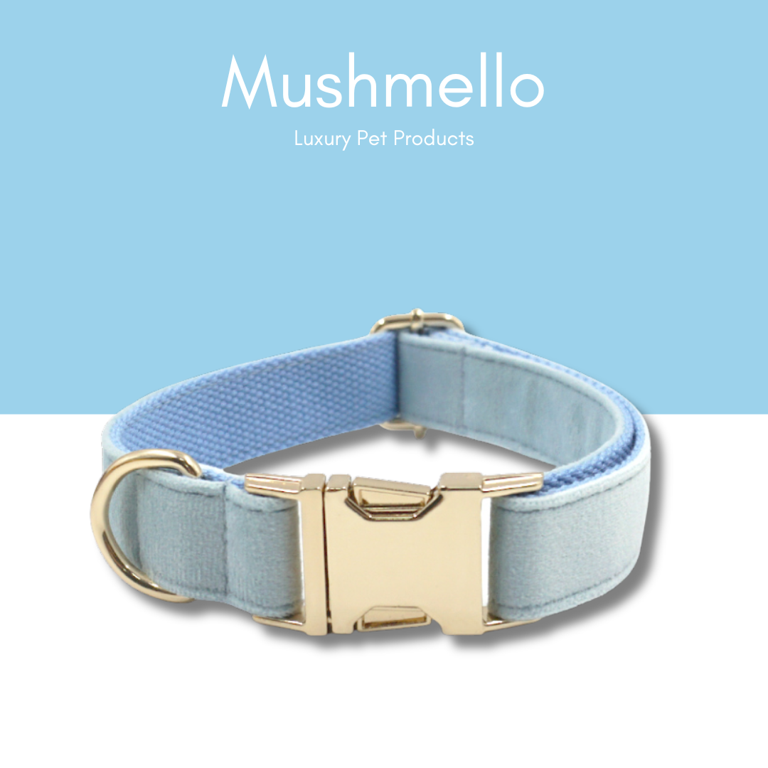 Luxury Rope Leash and Velvet Collar Set - Light Blue