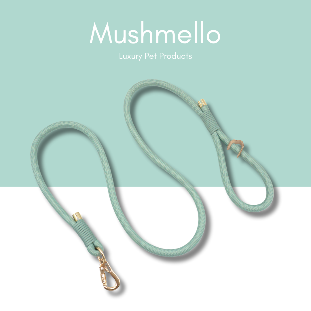 Luxury Rope Leash and Velvet Collar Set - Sage Green