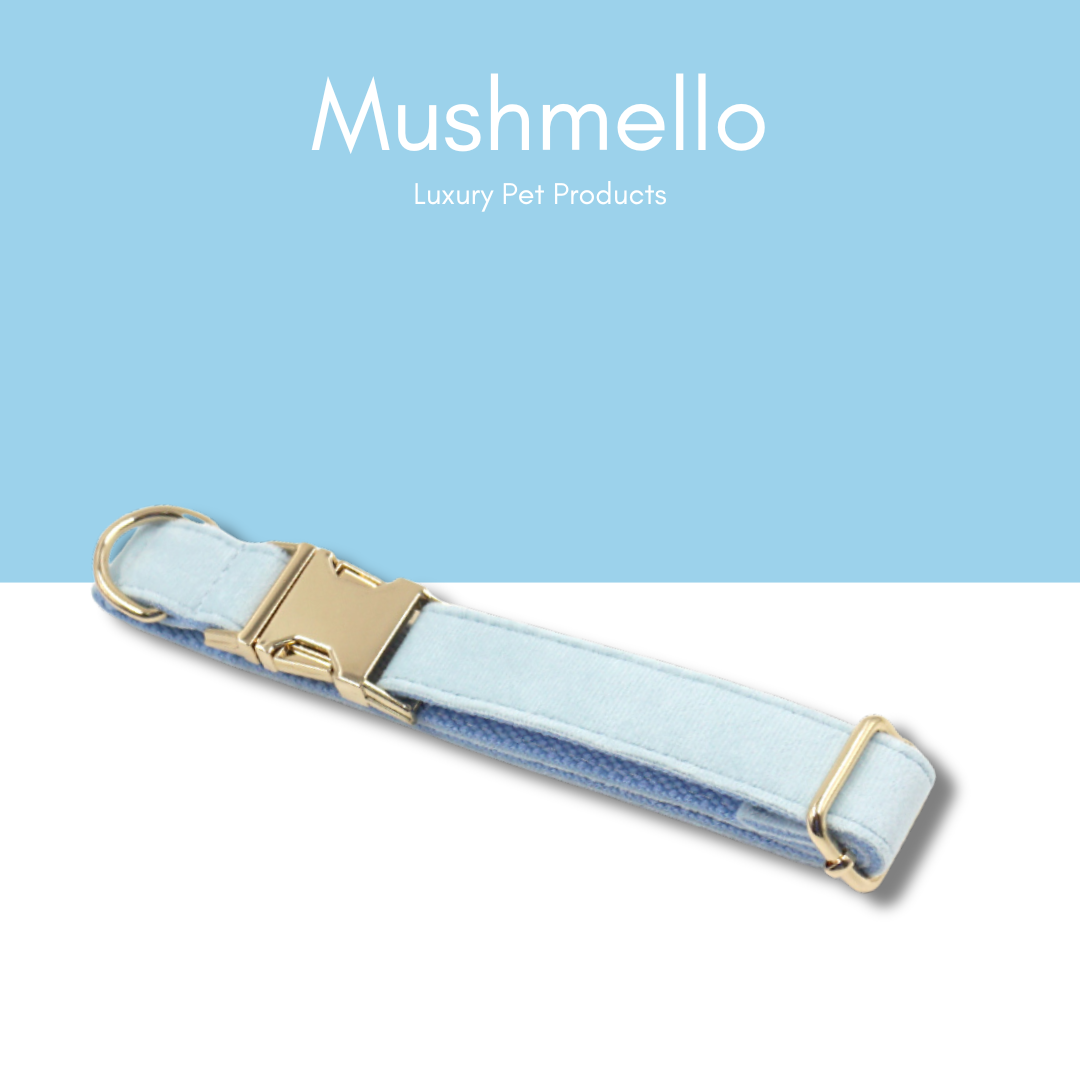 Luxury Rope Leash and Velvet Collar Set - Light Blue