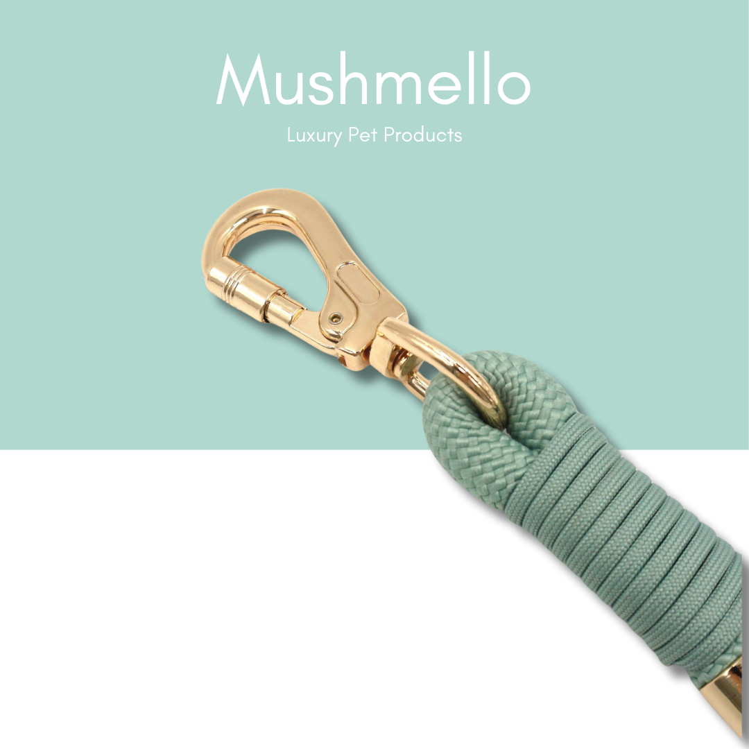 Luxury Rope Leash and Velvet Collar Set - Sage Green