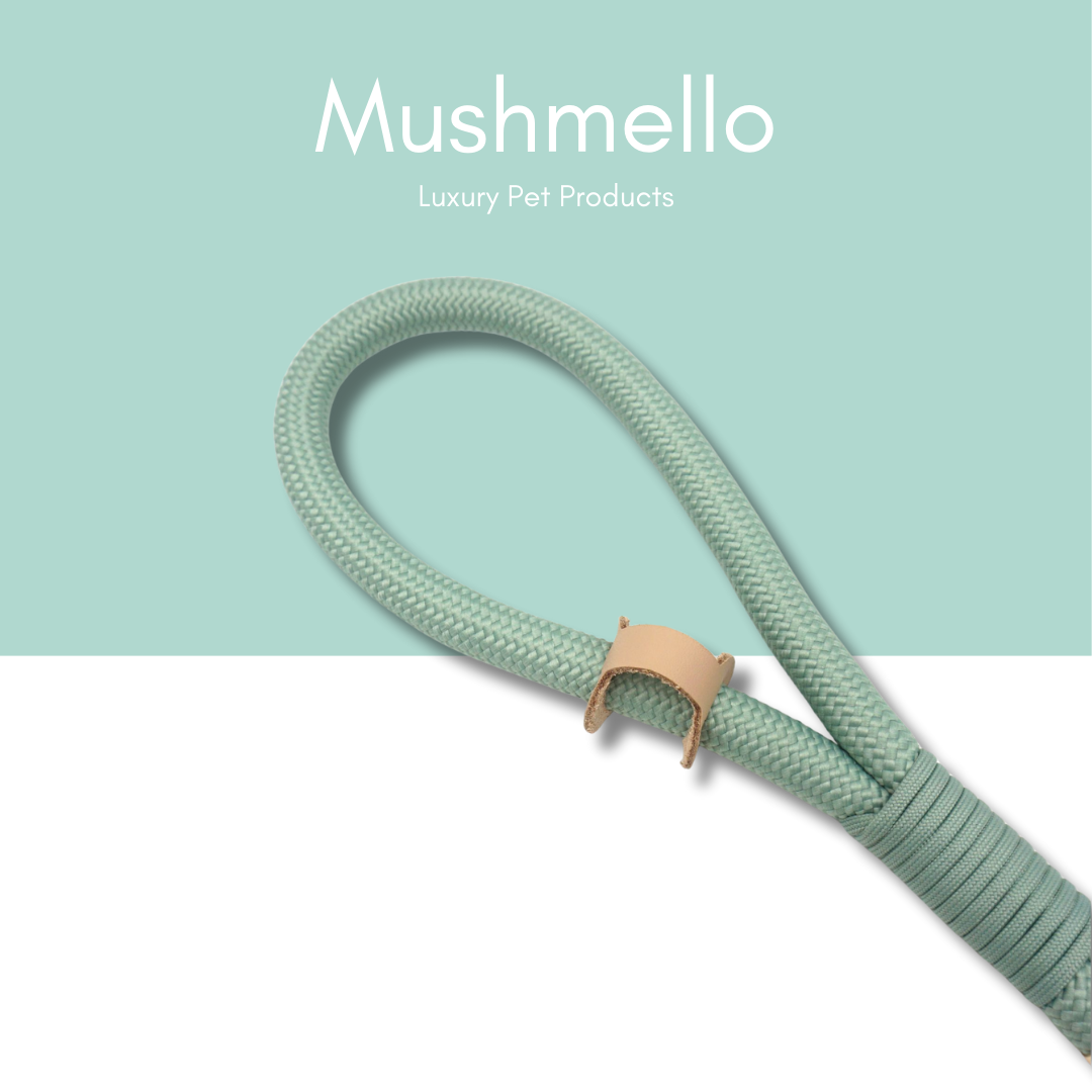 Luxury Rope Leash and Velvet Collar Set - Sage Green