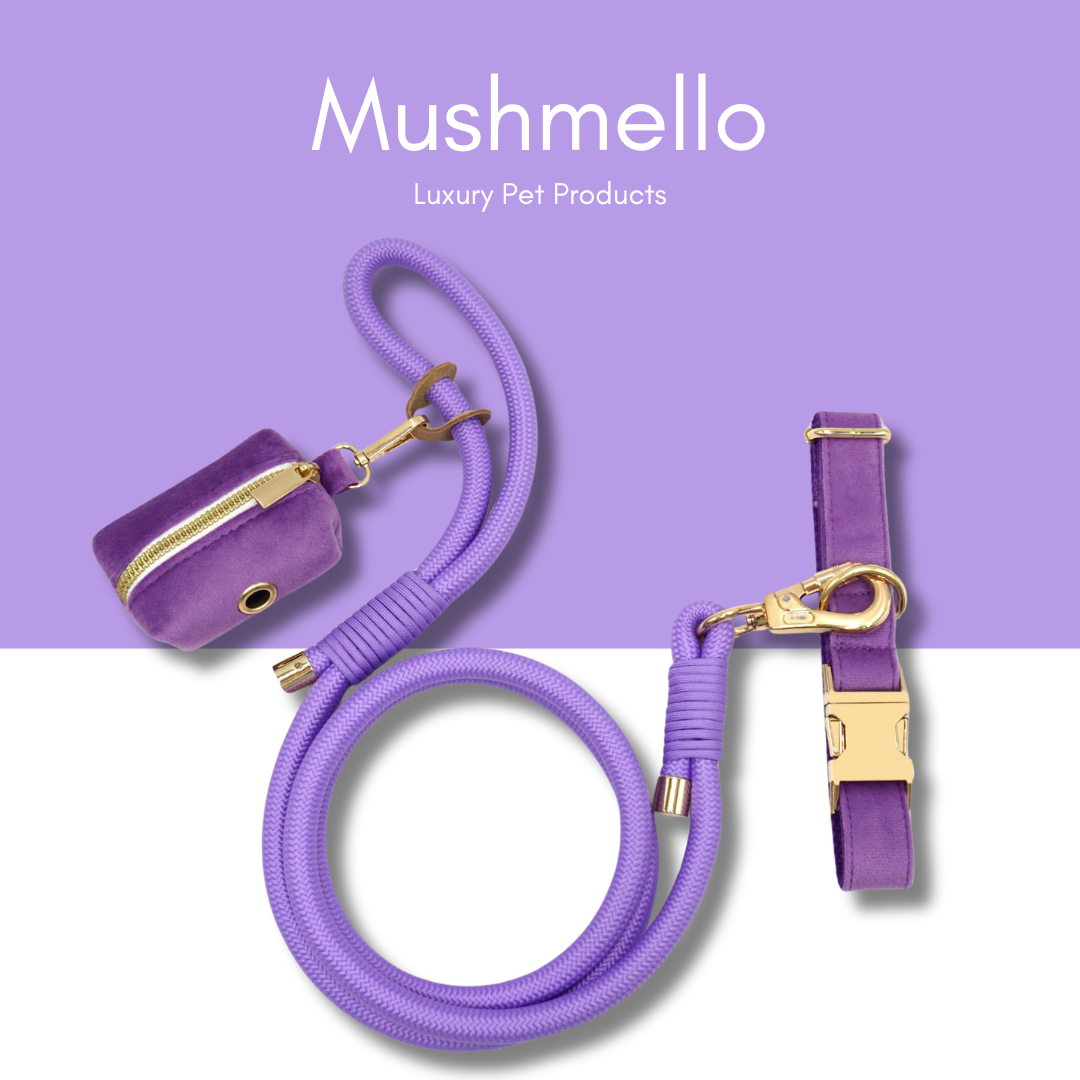 Luxury Rope Leash and Velvet Collar Set - Purple