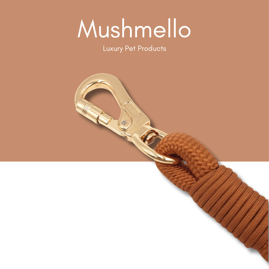 Luxury Rope Leash and Velvet Collar Set - Brown