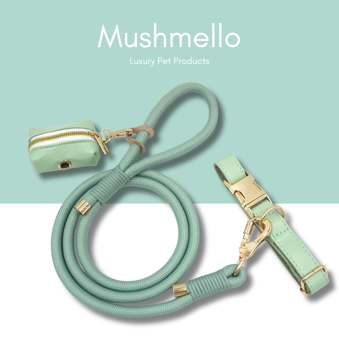 Luxury Rope Leash and Leather Collar Set - Sage Green