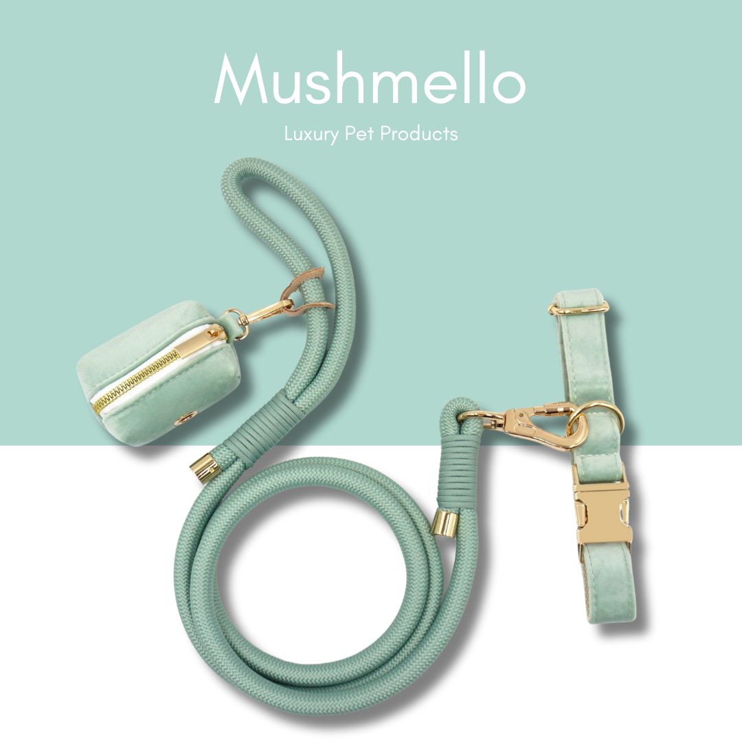 Luxury Rope Leash and Velvet Collar Set - Sage Green
