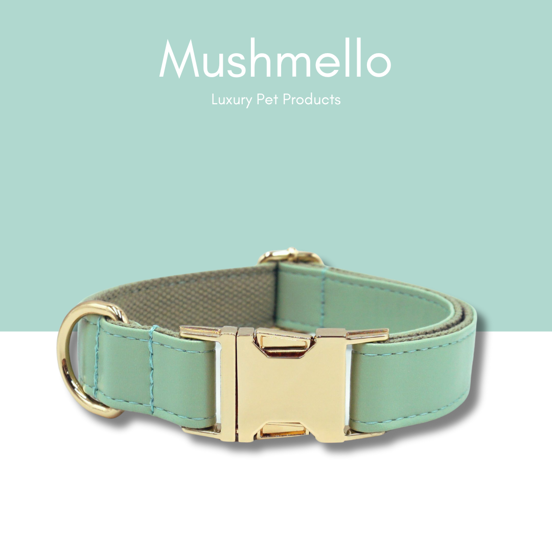 Luxury Rope Leash and Leather Collar Set - Sage Green