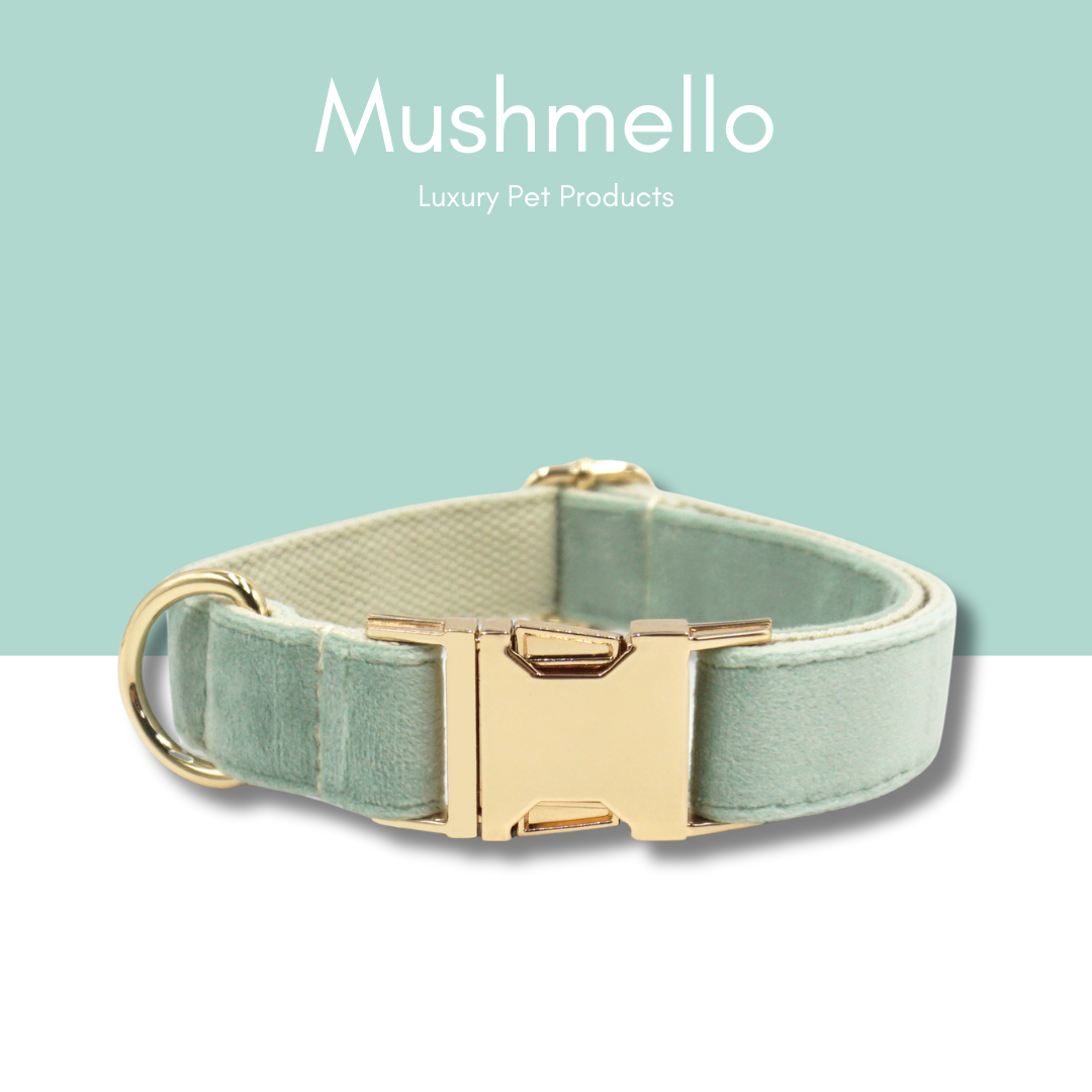 Luxury Rope Leash and Velvet Collar Set - Sage Green