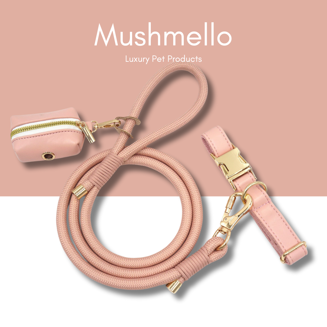 Luxury Rope Leash and Leather Collar Set - Baby Pink