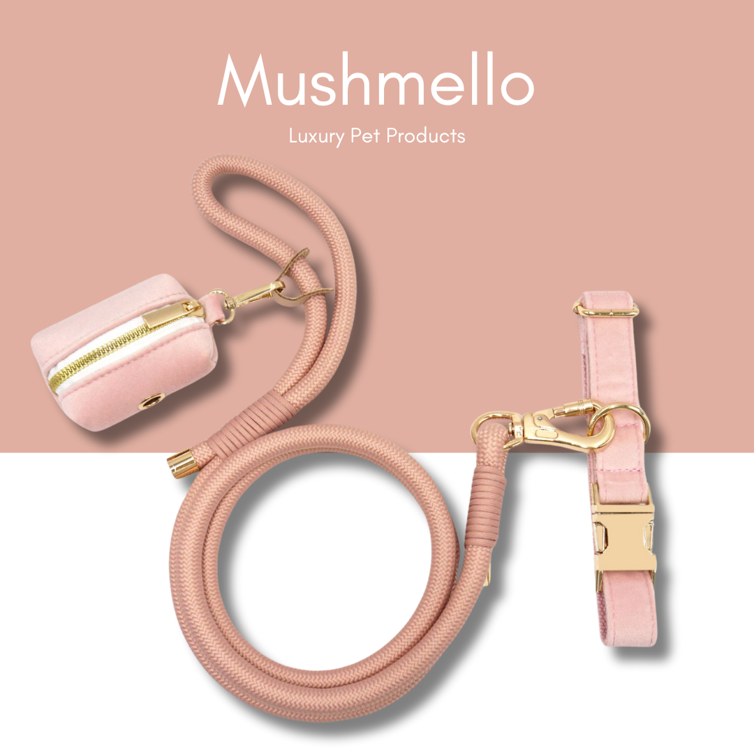 Luxury Rope Leash and Velvet Collar Set - Baby Pink