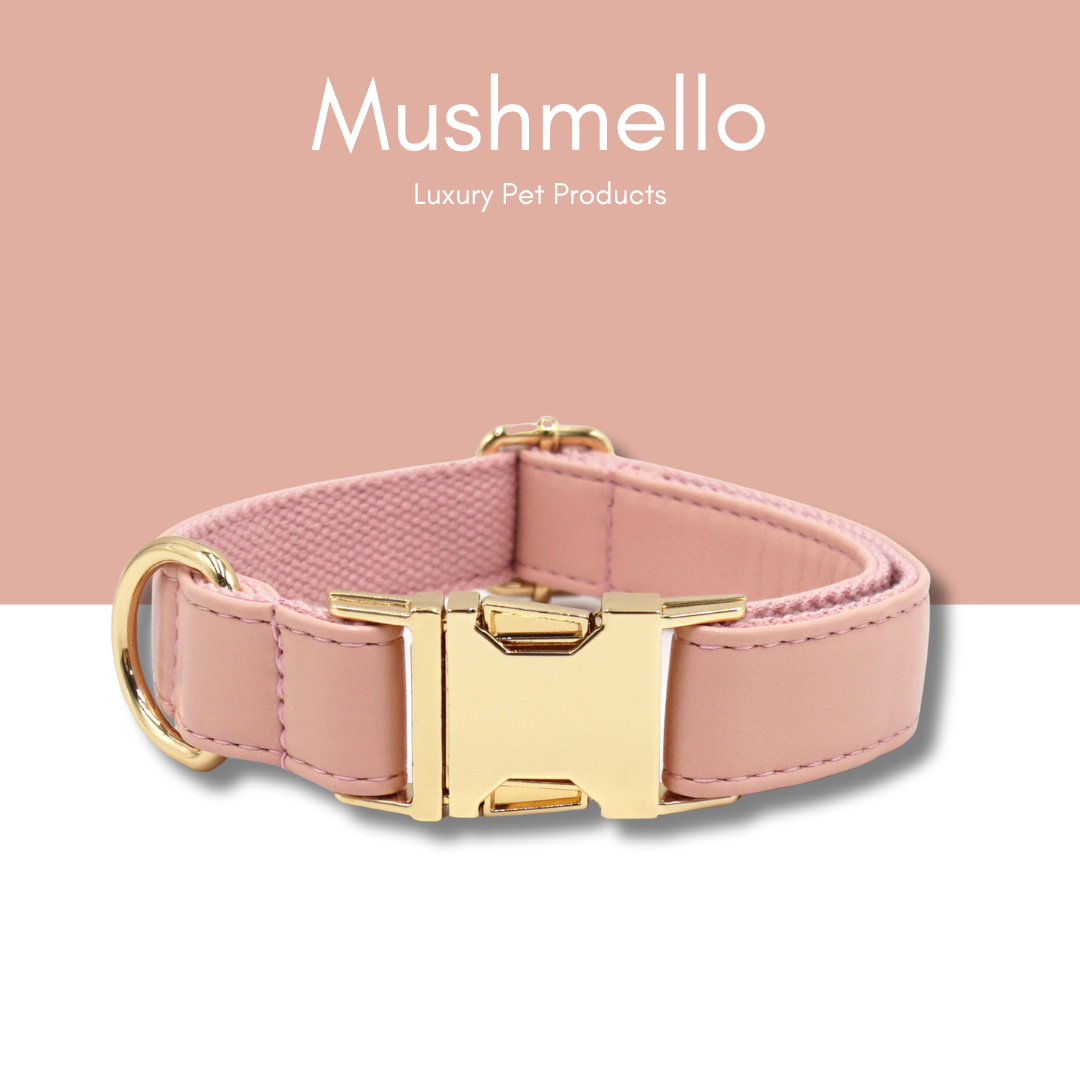 Luxury Rope Leash and Leather Collar Set - Baby Pink