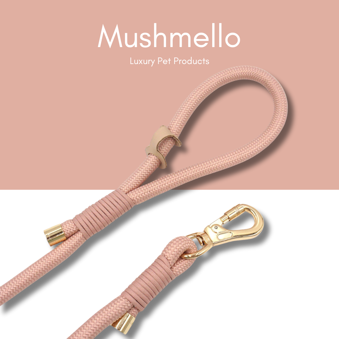 Luxury Rope Leash and Velvet Collar Set - Baby Pink