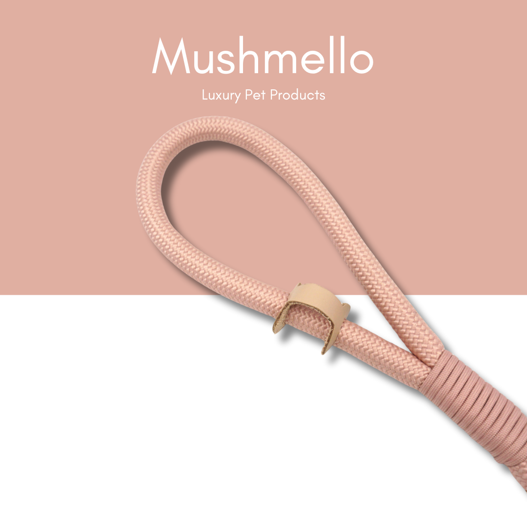 Luxury Rope Leash and Velvet Collar Set - Baby Pink