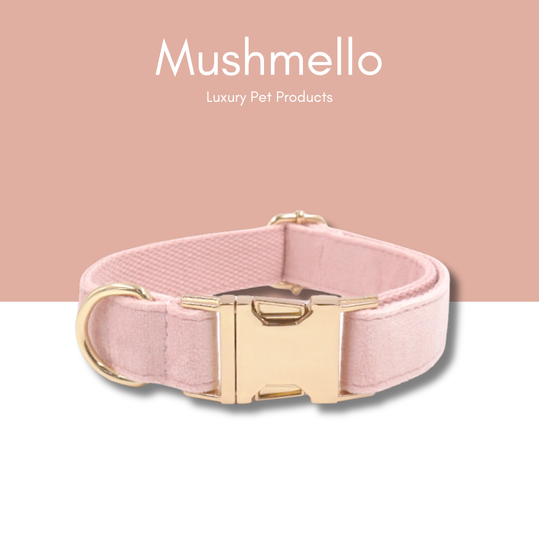 Luxury Rope Leash and Velvet Collar Set - Baby Pink