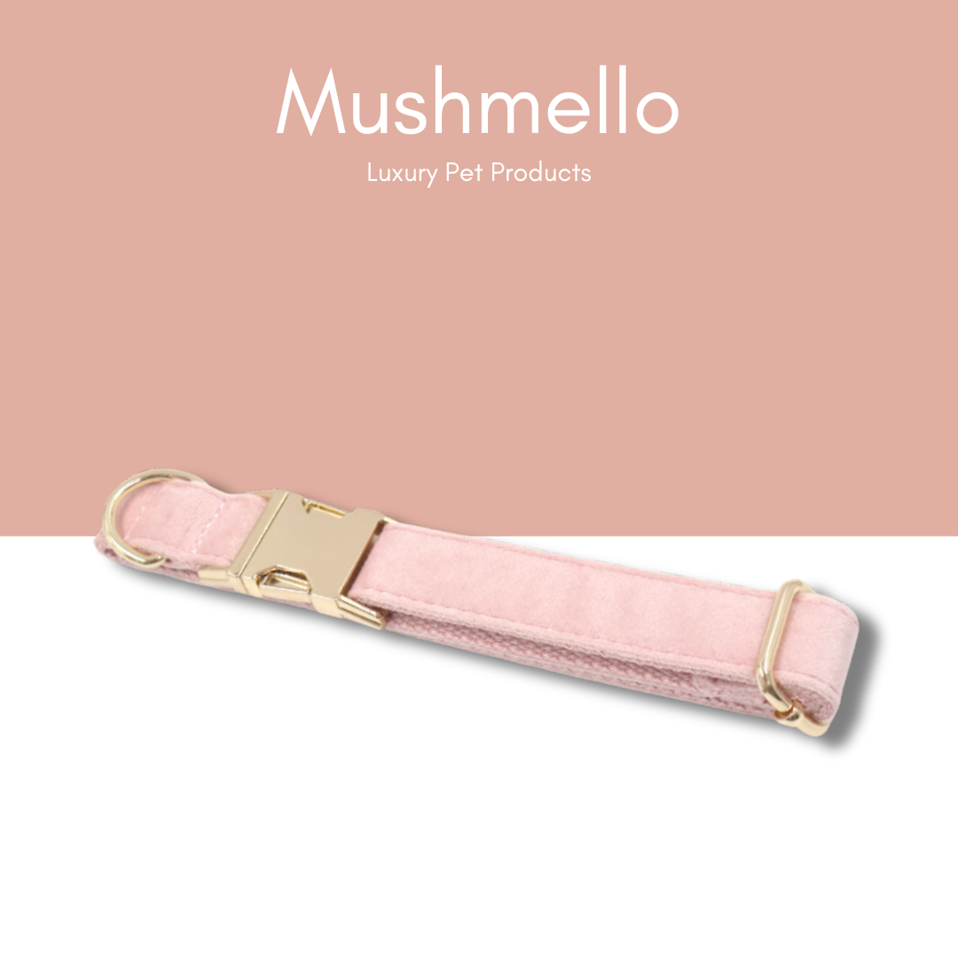 Luxury Rope Leash and Velvet Collar Set - Baby Pink