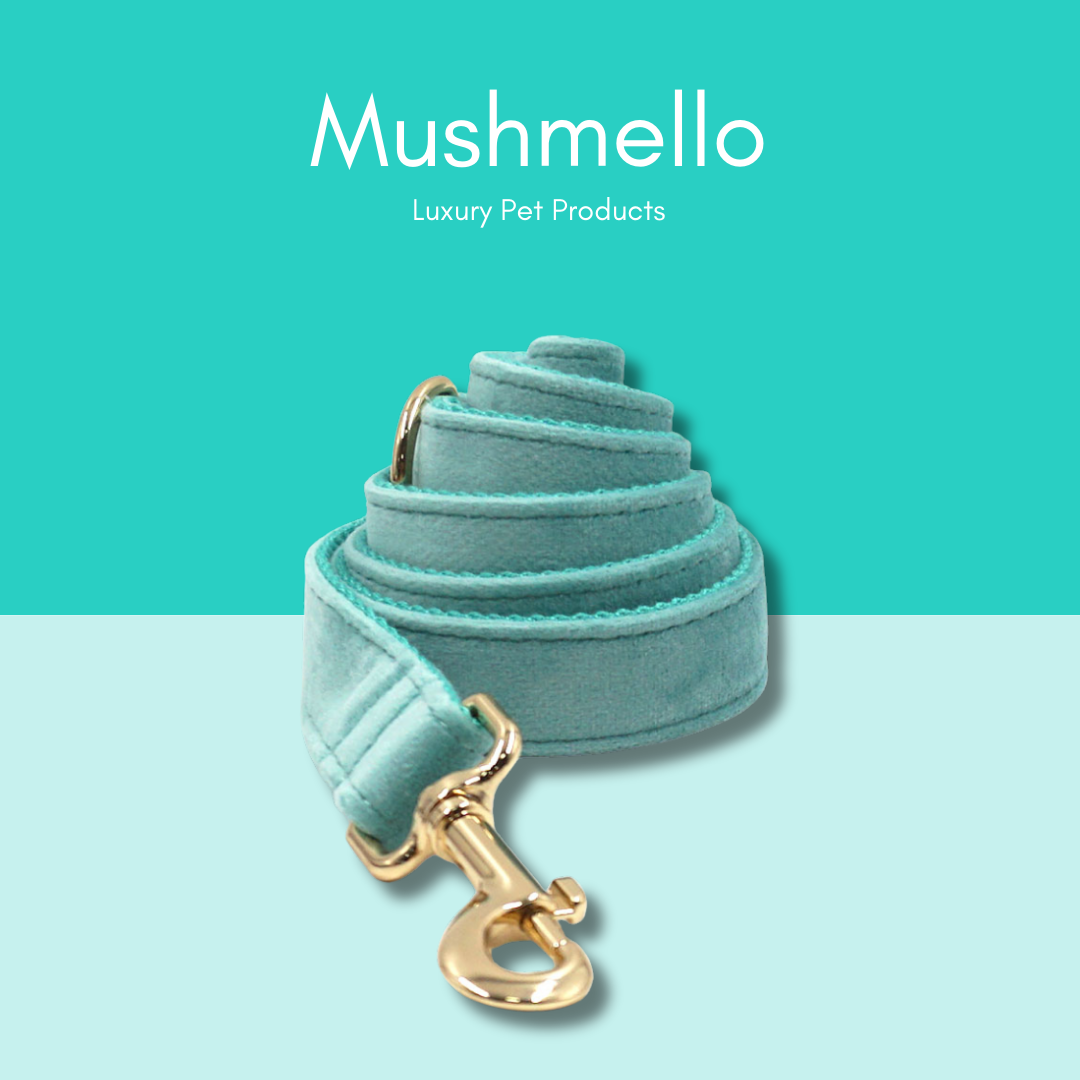 Soft Luxury Velvet Dog Collar and Leash Set - Lake Blue