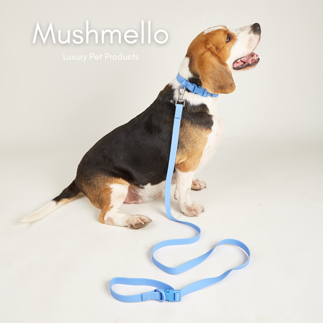 Blue Luxury Waterproof Breakaway Collar and Leash Set