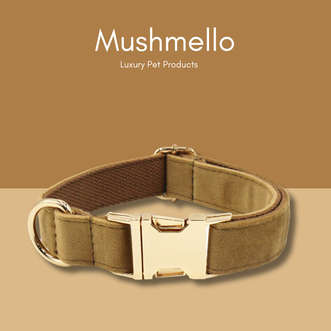Soft Luxury Velvet Dog Collar and Leash set - Coffee Brown