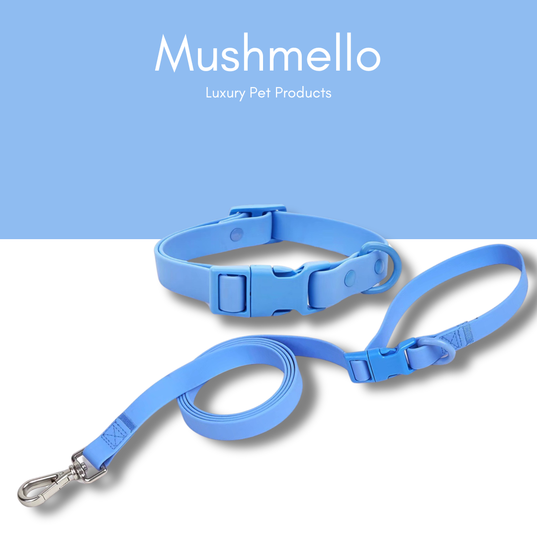 Blue Luxury Waterproof Breakaway Collar and Leash Set