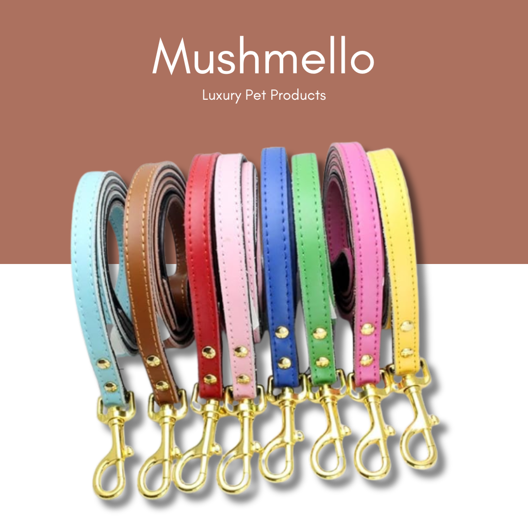 Luxury Leather Collar with FREE Matching Leash - Brown