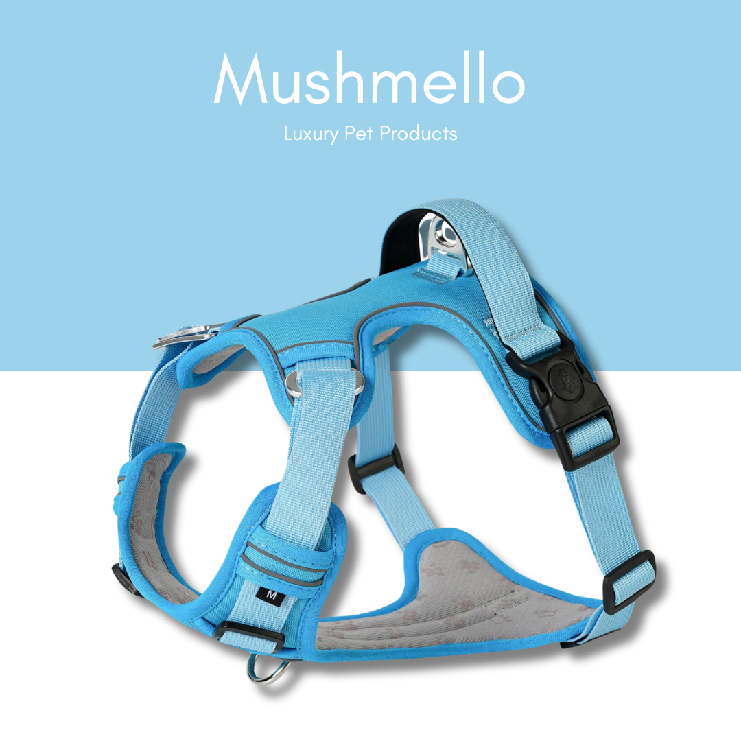 Non-Slip, Padded, Reflective Harness & Bungee Leash Set – Light Blue