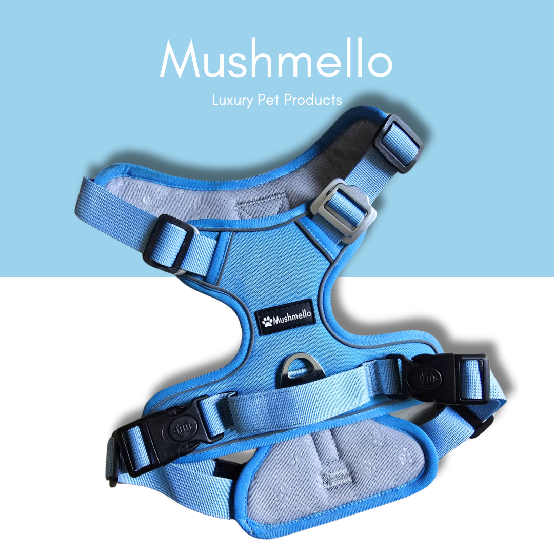 Non-Slip, Padded, Reflective Harness & Bungee Leash Set – Light Blue