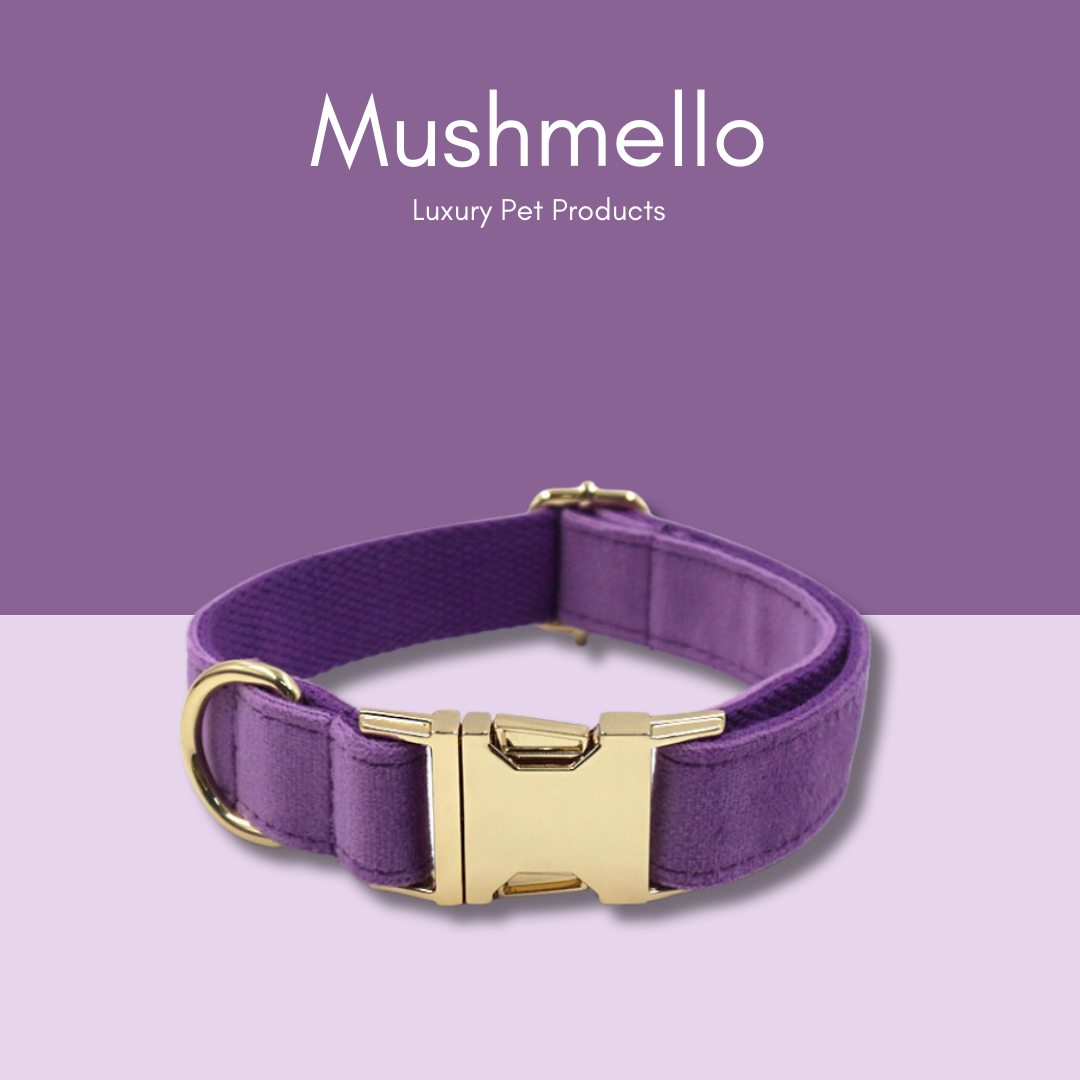 Luxury Rope Leash and Velvet Collar Set - Purple