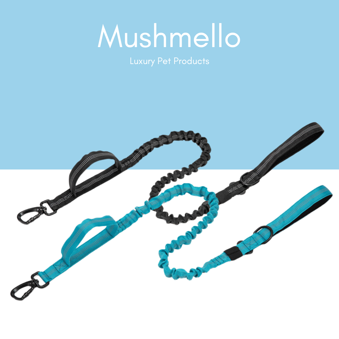 Non-Slip, Padded, Reflective Harness & Bungee Leash Set – Light Blue