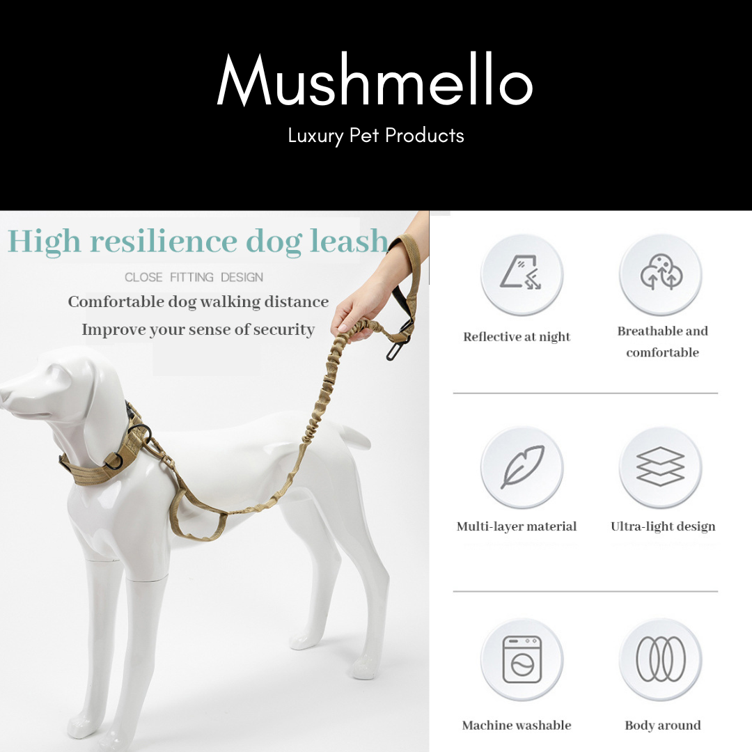 Non-Slip, Padded, Reflective Harness & Bungee Leash Set – Teal Blue and Black