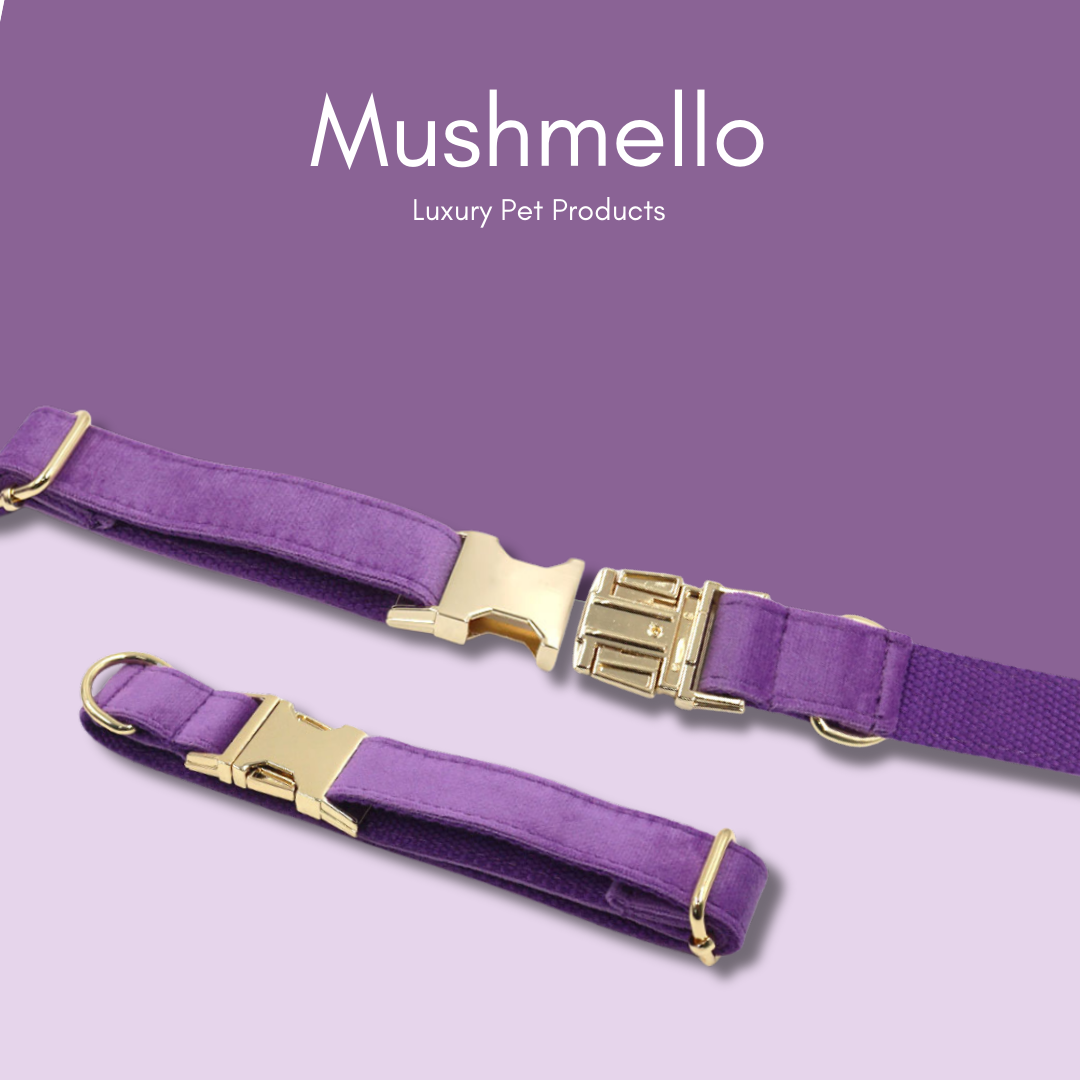 Luxury Rope Leash and Velvet Collar Set - Purple