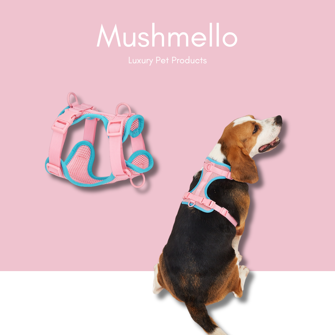 Soft, Breathable No-Pull Colorful Harness - Pink and Blue