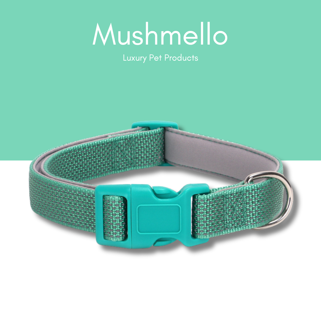 Reflective Star Effect Collar - Green