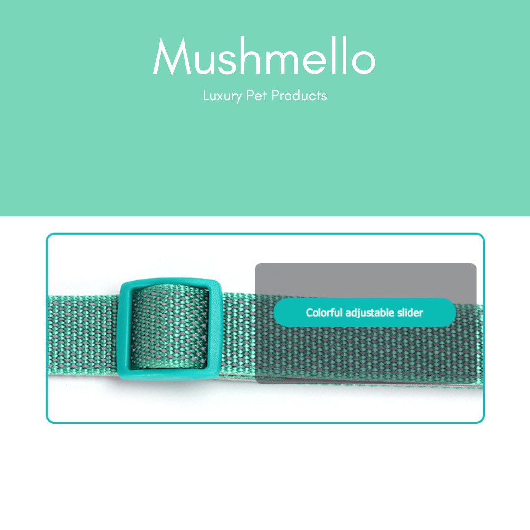 Reflective Star Effect Collar - Green