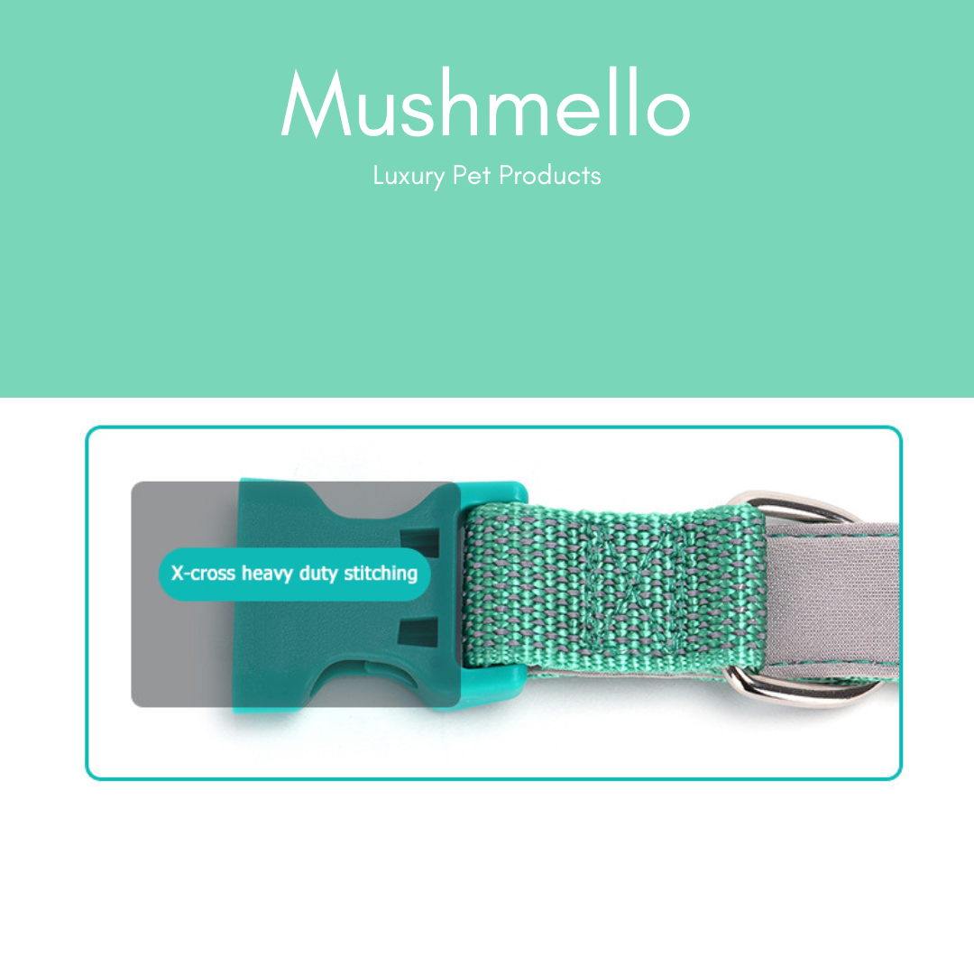 Reflective Star Effect Collar - Green