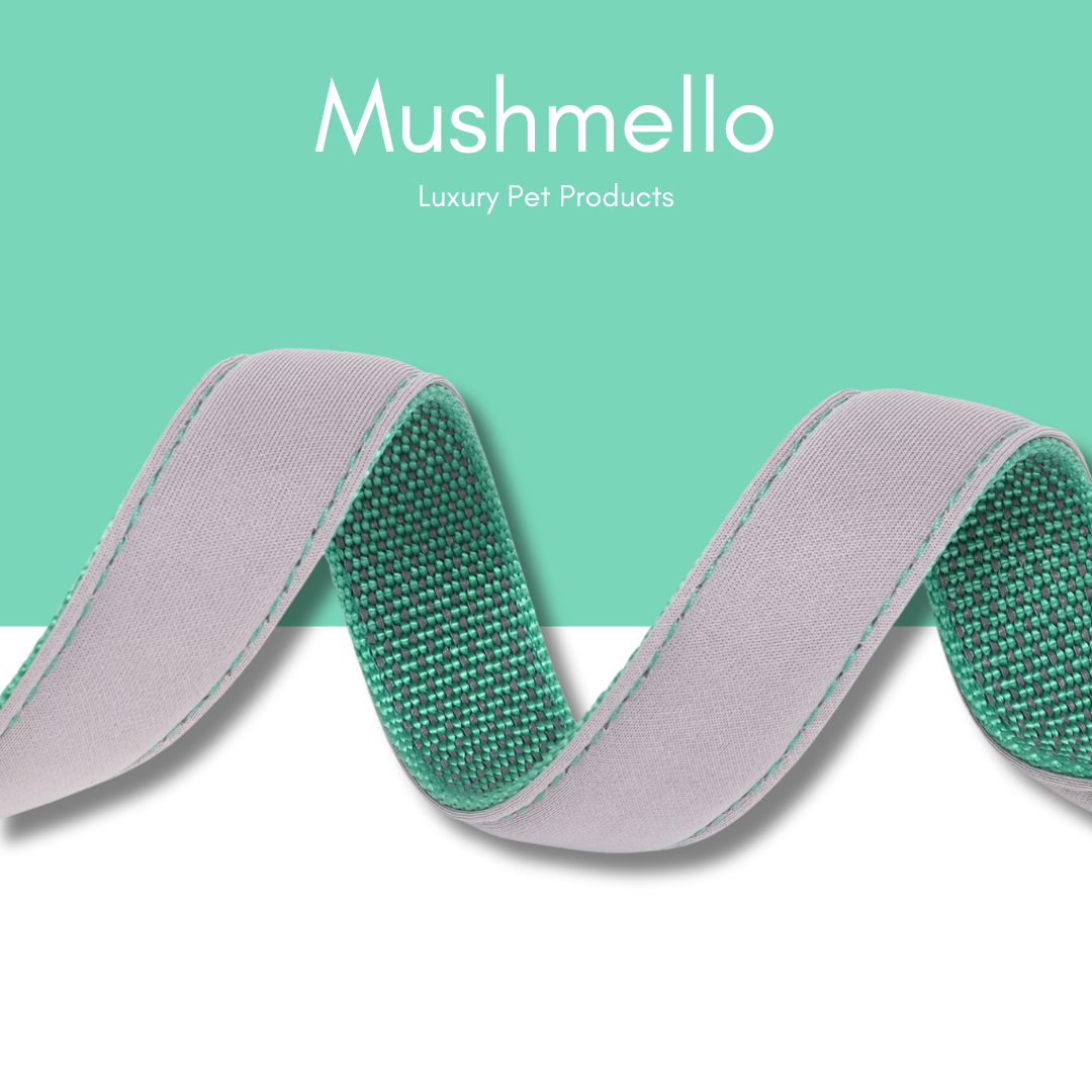 Reflective Star Effect Collar - Green