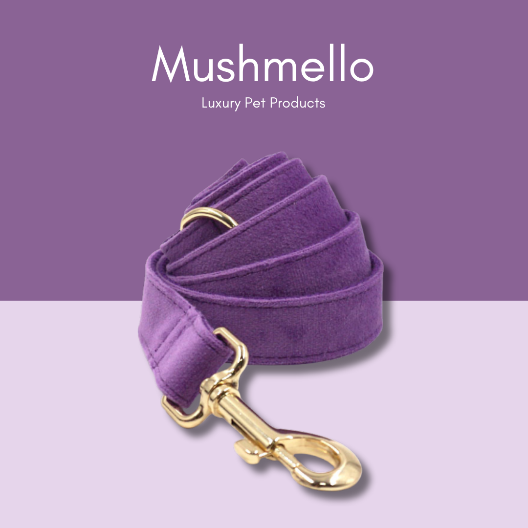 Soft Luxury Velvet Dog Collar and Leash Set - Royal Purple