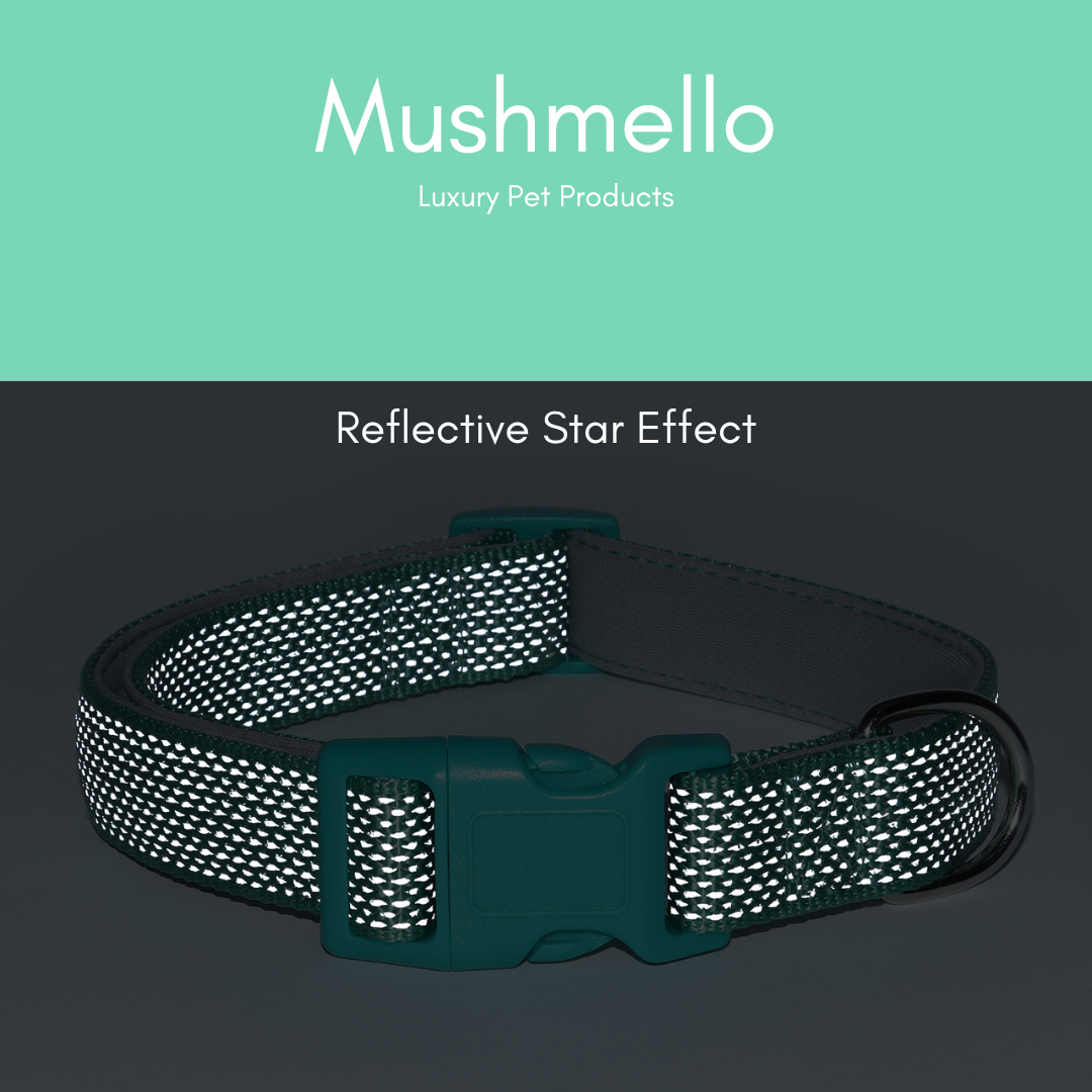 Reflective Star Effect Collar - Green