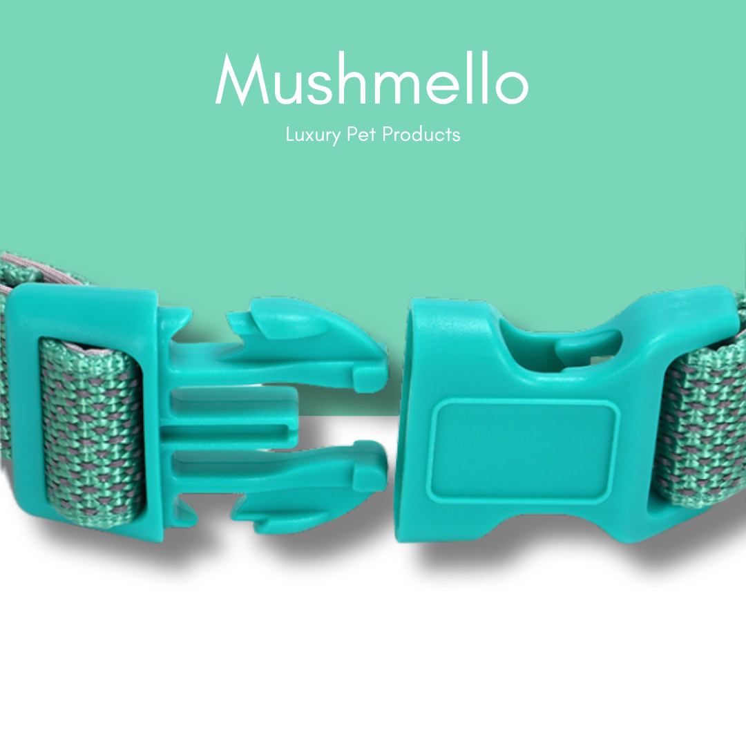 Reflective Star Effect Collar - Green