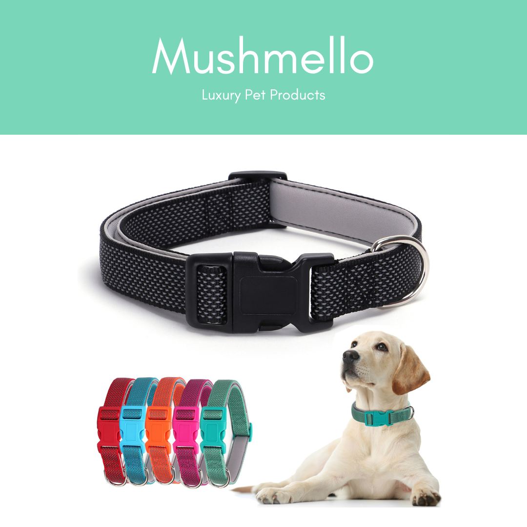 Reflective Star Effect Collar - Green