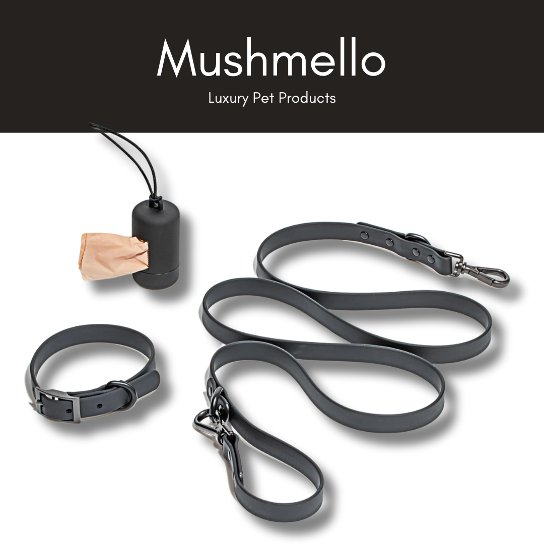 Black Luxury Waterproof PVC-Coated Harness, Leash, Collar Set – Easy Clean